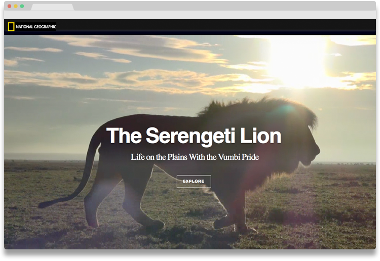 Screenshot Lion/National Geographic